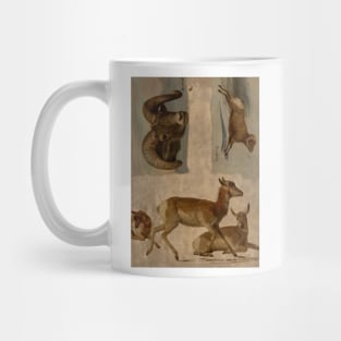 Study of Bighorn Sheep and Antelope by Albert Bierstadt Mug